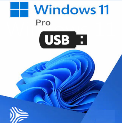 Windows 11 Pro USB 32 & 64 Bit Media & Key