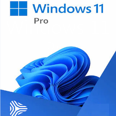 Windows 11 Pro USB 32 & 64 Bit Media